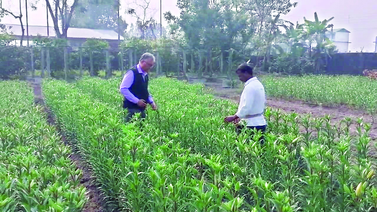 State helps Siliguri entrepreneur in lily flower cultivation