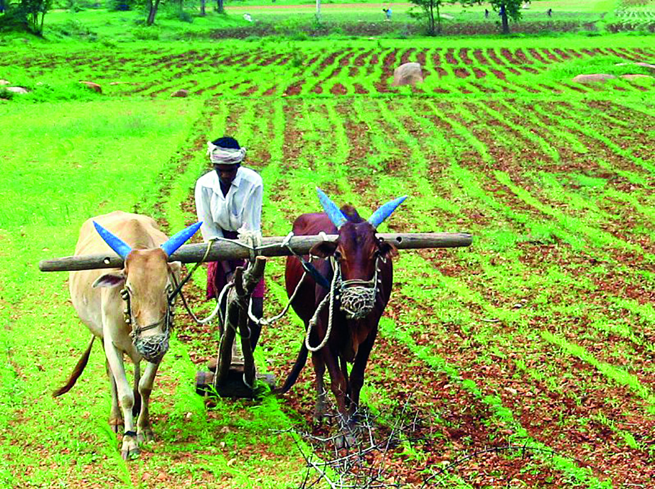 Detailed weather forecast: ‘C band radar in Malda soon’ Detailed weather forecast: ‘C band radar in Malda soon’