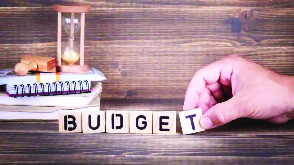 Budget may see steps to boost consumption, rural economy