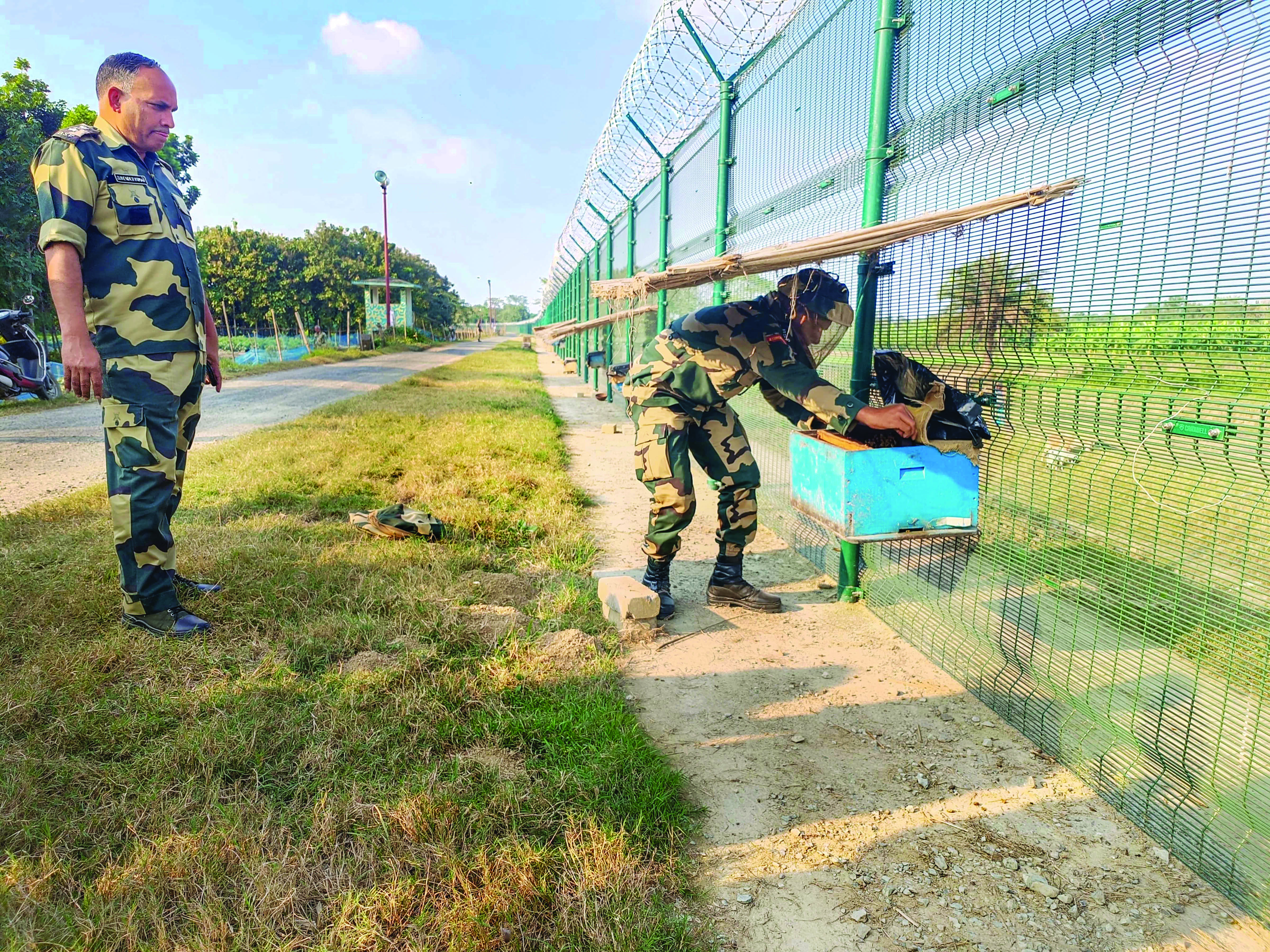 Bee boxes, hedge of medicinal plants on India-Bangla border to prevent smuggling Bee boxes, hedge of medicinal plants on India-Bangla border to prevent smuggling