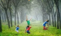 A sustainable shift