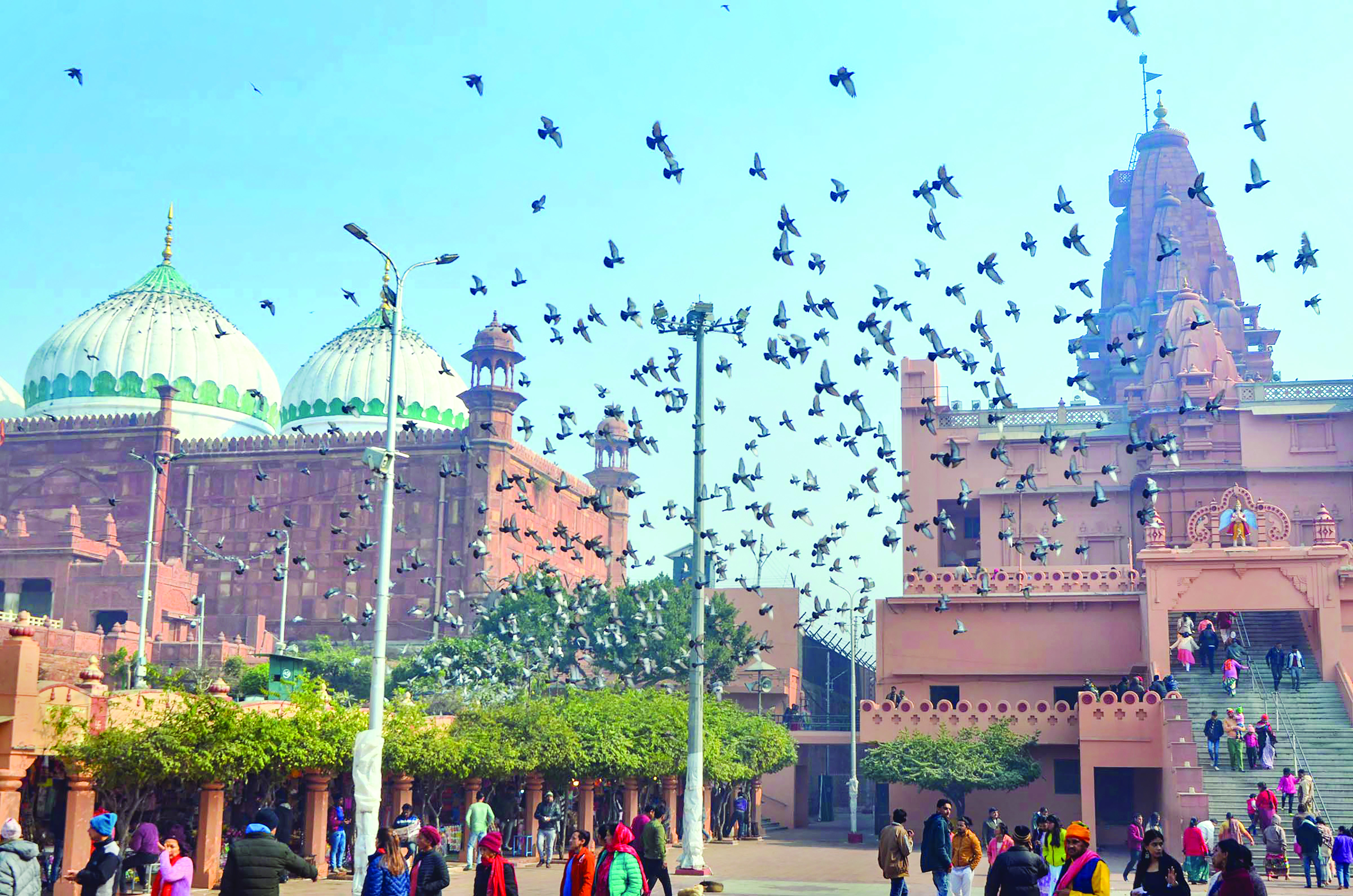 SC stays HC order on Shahi Idgah survey SC stays HC order on Shahi Idgah survey