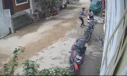 Authorities Under Scrutiny as Pitbull Attack on Toddler Sparks Outcry