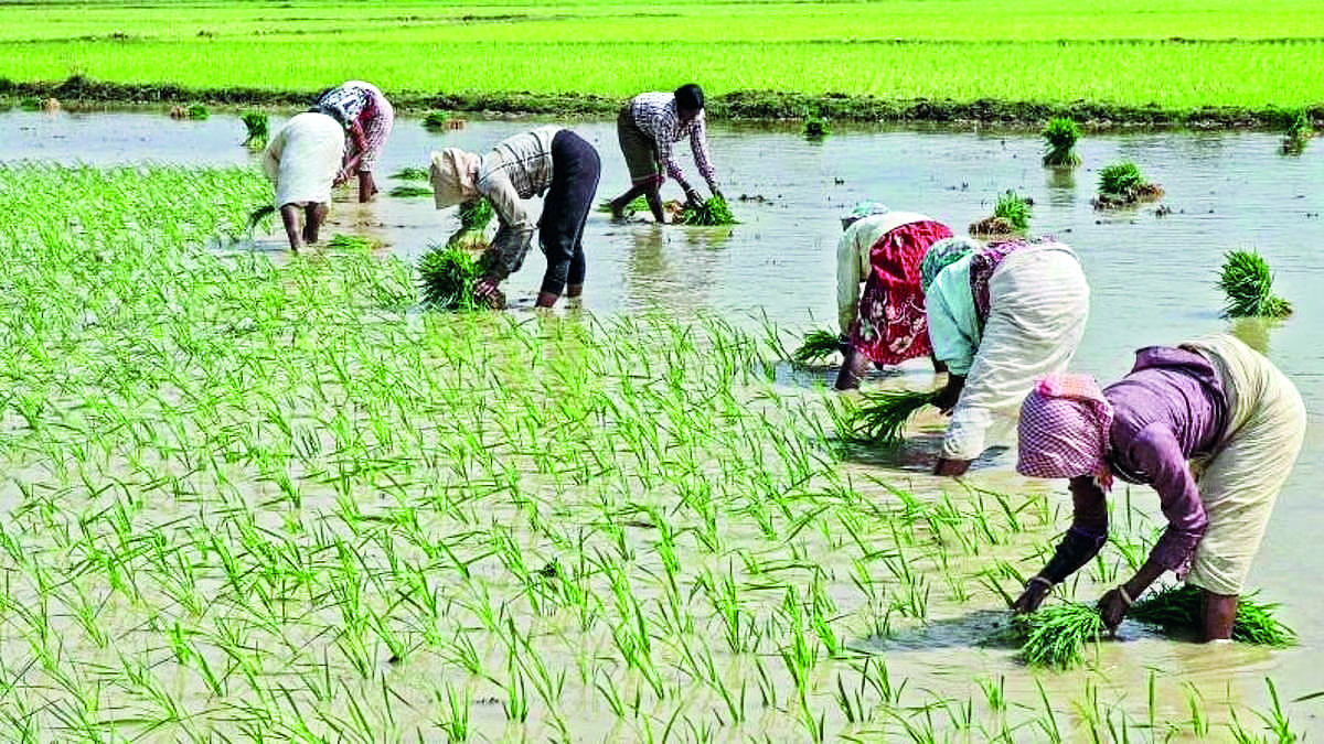 Retail inflation for farm workers, rural labourers rises in December