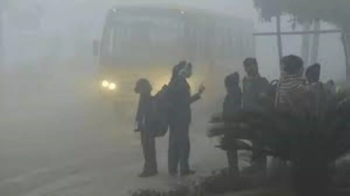 Cold wave continues Haryana, Punjab; Chandigarh records 3.6 degree C Cold wave continues Haryana, Punjab; Chandigarh records 3.6 degree C