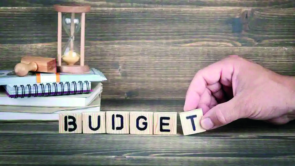 FM may significantly hike allocation for farm sector schemes FM may significantly hike allocation for farm sector schemes