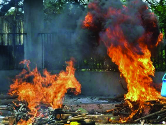 Delhi woman performs last rites of unclaimed bodies, personal tragedy motivates her Delhi woman performs last rites of unclaimed bodies, personal tragedy motivates her