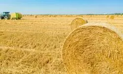 Green promises, grey realities