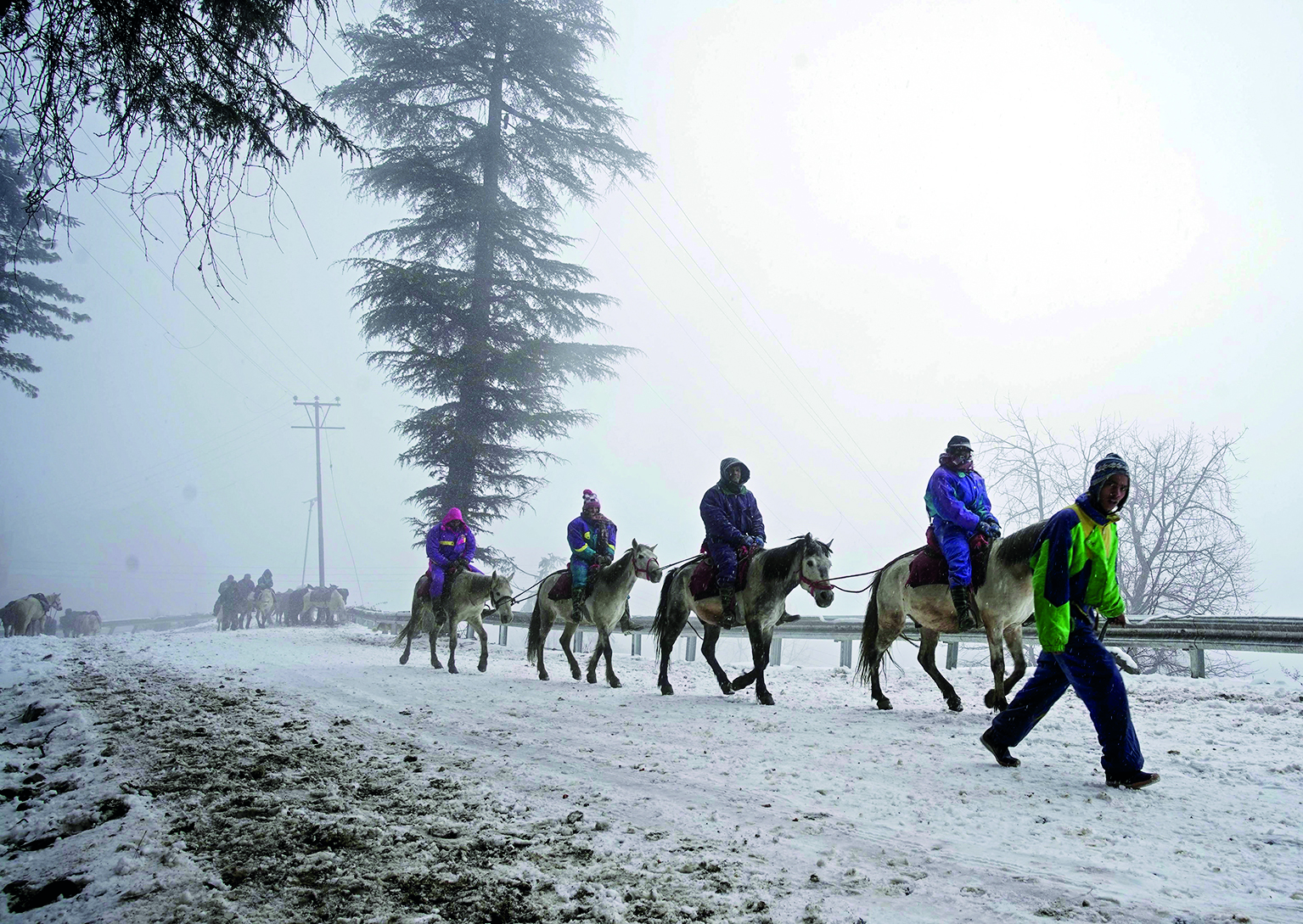 Himachal: Snowfall disrupts normal life in tribal areas; 4 NH among 134 roads closed