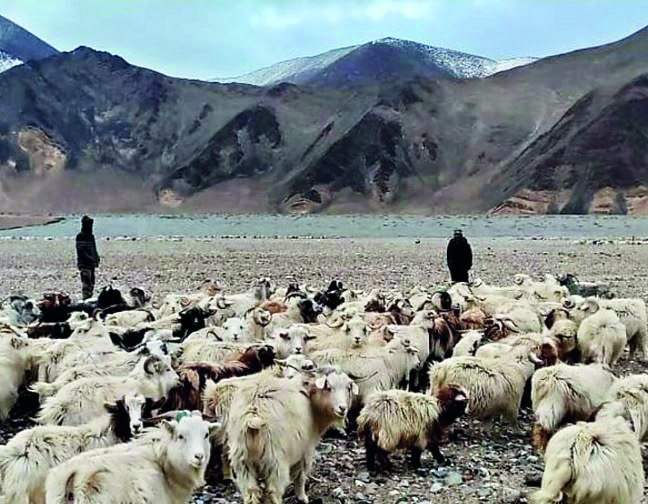 Cong asks govt on Indian graziers being stopped by Chinese troops Cong asks govt on Indian graziers being stopped by Chinese troops