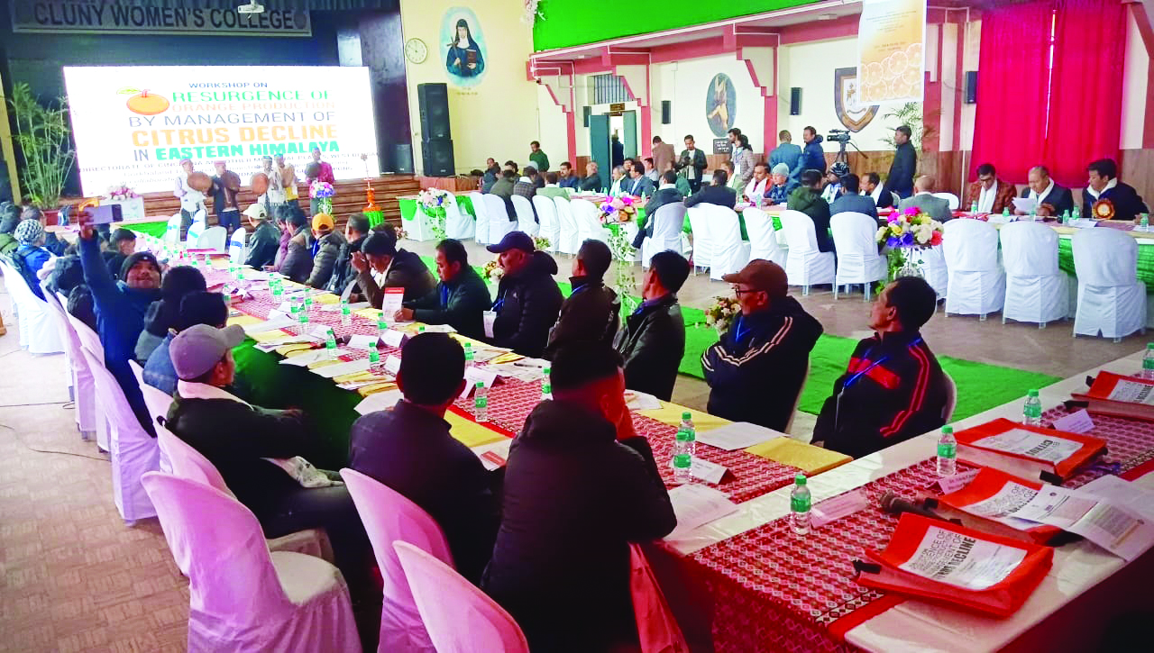 State government launches ‘Mission Suntala’ to salvage Darj oranges