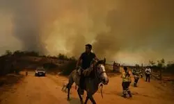 At least 46 reported dead in Chile as forest fires move into densely populated central areas