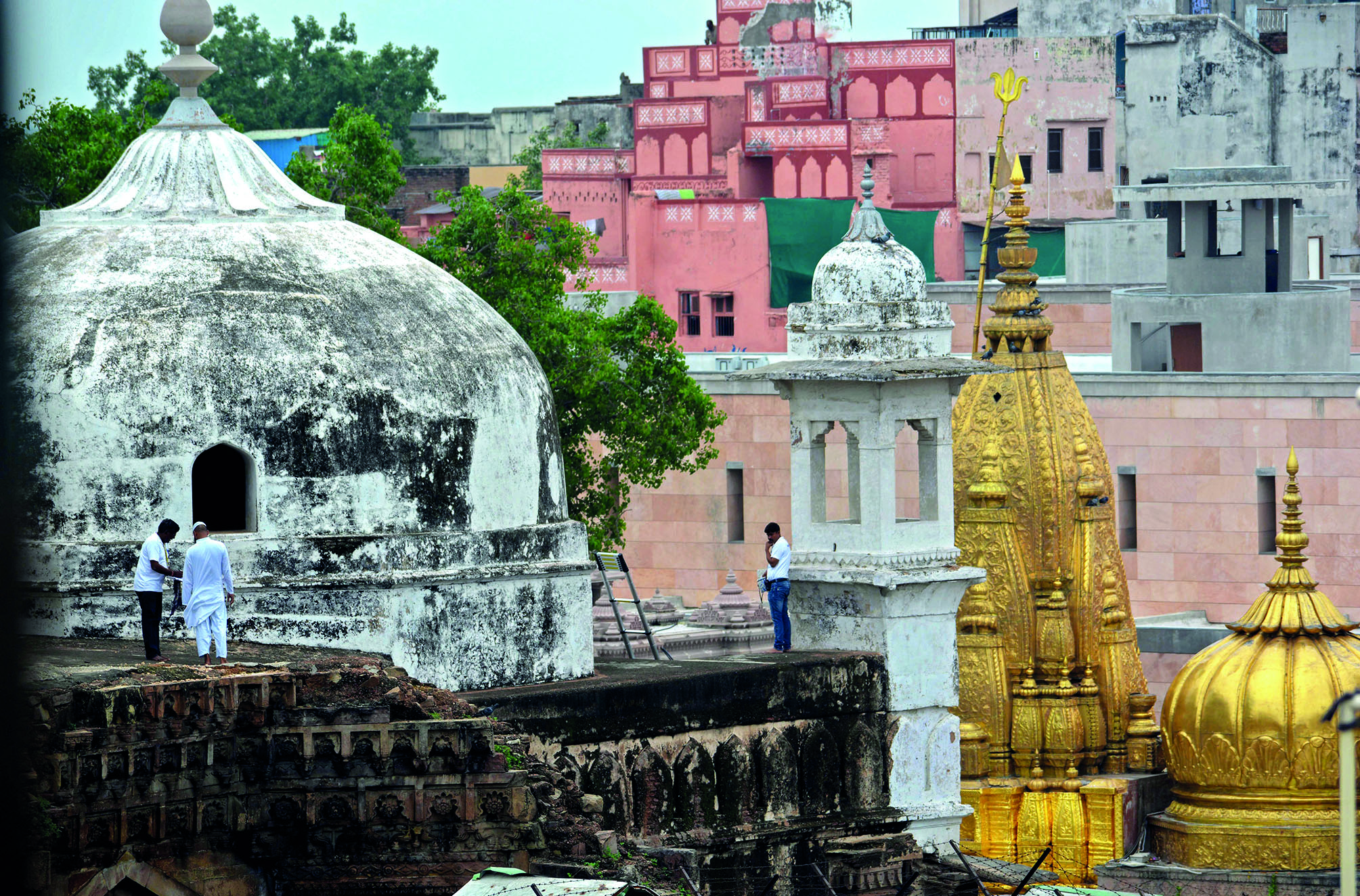 Allahabad HC adjourns hearing on plea challenging order allowing worship in Gyanvapi mosque cellar
