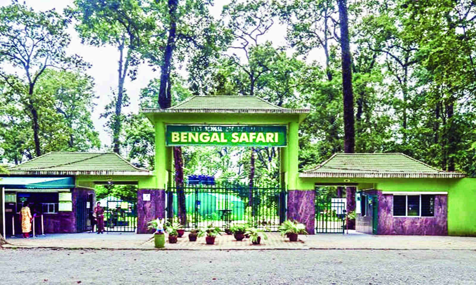 Two lions all set to arrive at Bengal Safari Park in Siliguri Two lions all set to arrive at Bengal Safari Park in Siliguri
