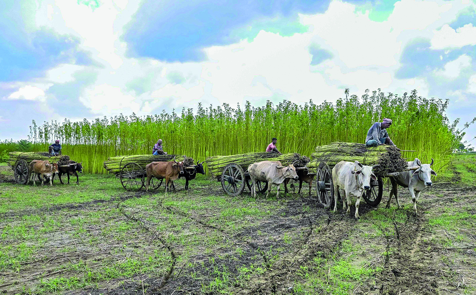 State govt makes considerable allocation for edu & agri sectors