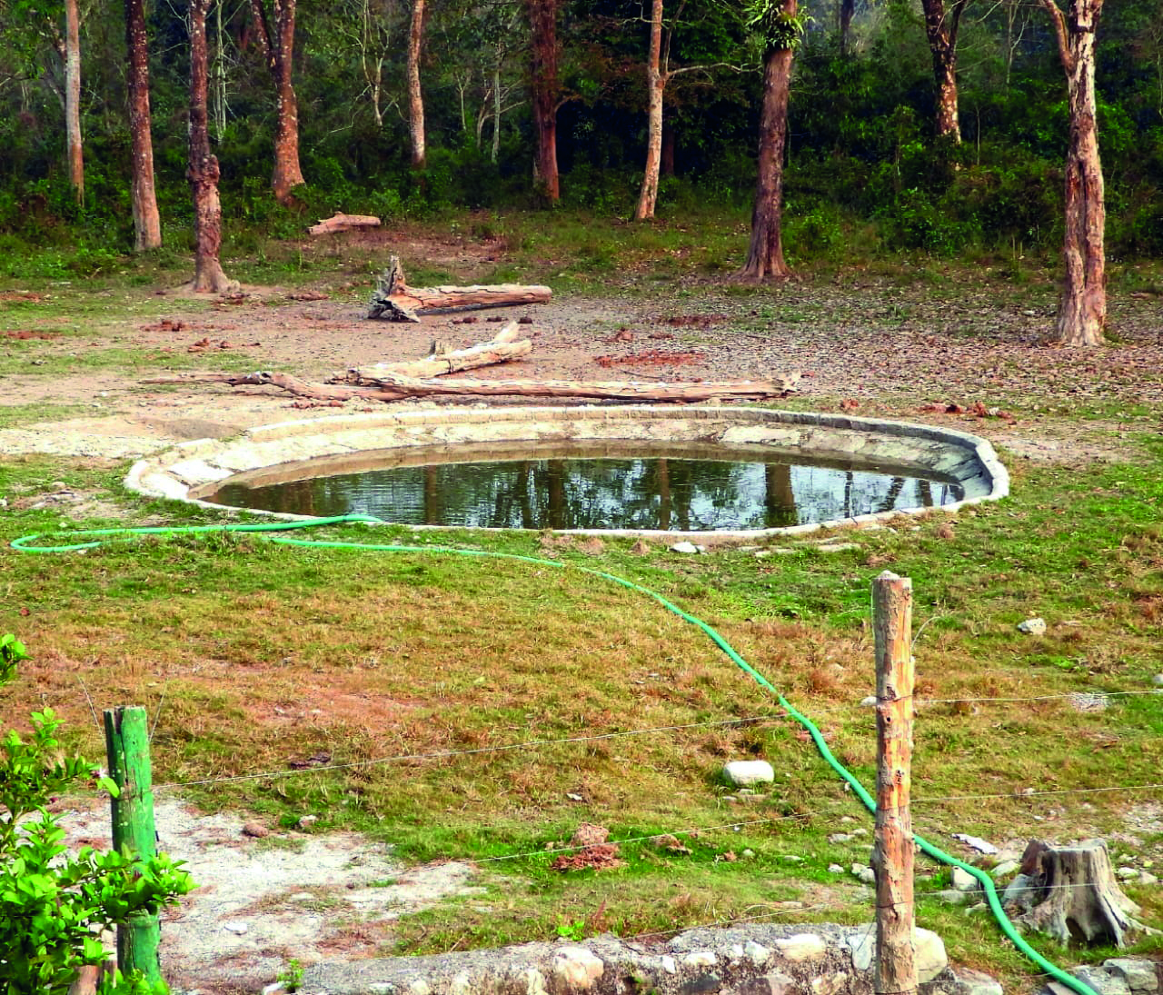 Artificial reservoirs sustain wildlife in Buxa Tiger Reserve Artificial reservoirs sustain wildlife in Buxa Tiger Reserve