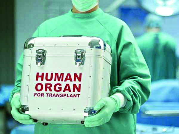 Govt data shows 80% of  36,640 organ transplants  between 1995 and 2021  were performed on men