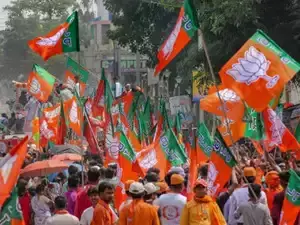 BJP announces 14 names for RS polls, relies on new faces