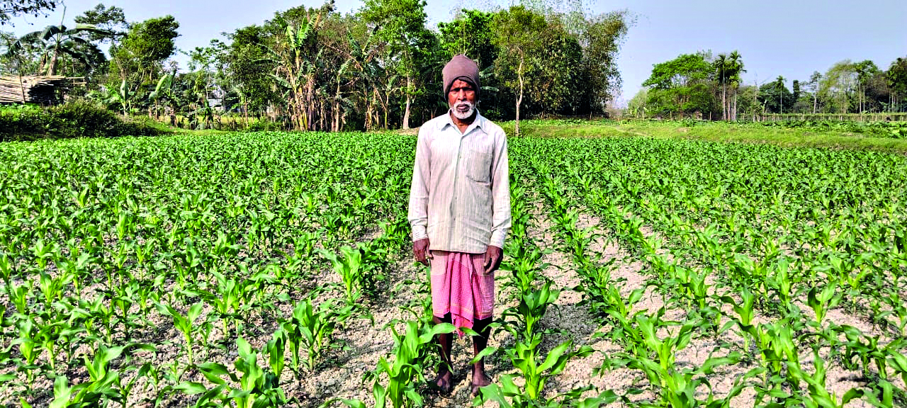 ‘Bengal farmers take least loans due to high income & state schemes’