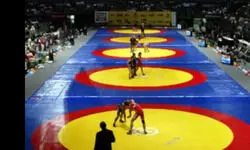 Unanswered questions