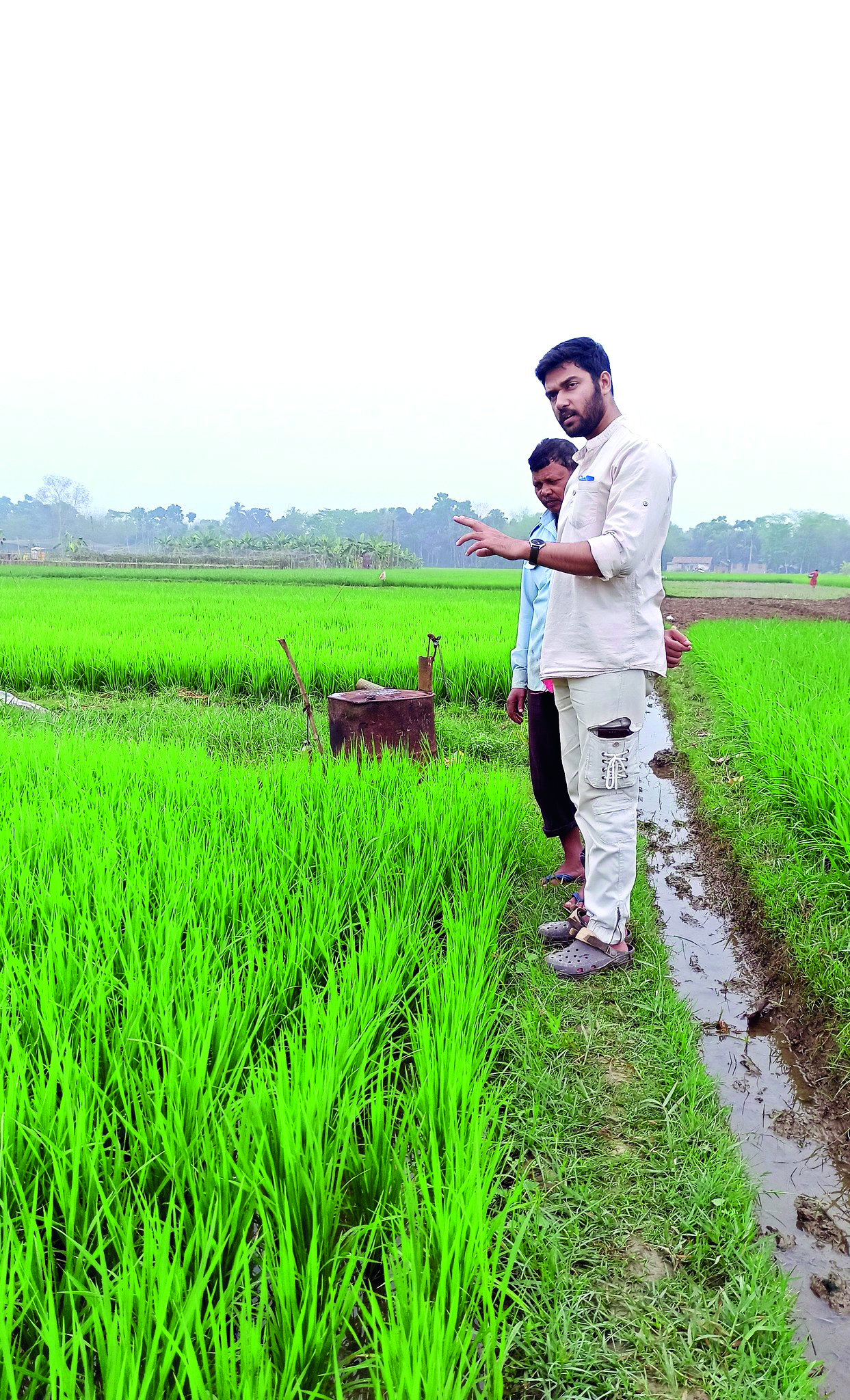 ‘Water management in rice cultivation can reduce arsenic contamination’