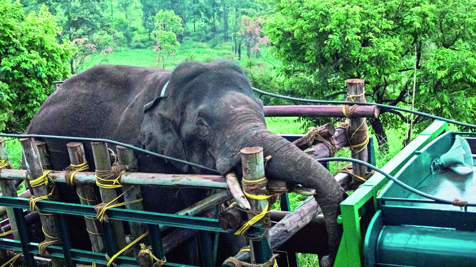 Human-drawn boundaries won’t resolve human-animal conflicts; joint efforts required: Kerala HC