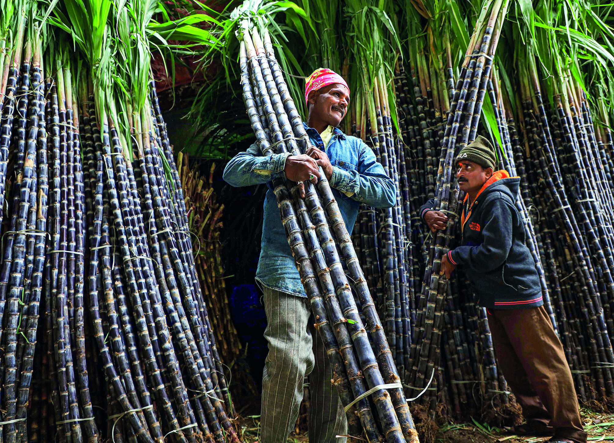 Agri credit crosses `20 lakh cr till January in current fiscal