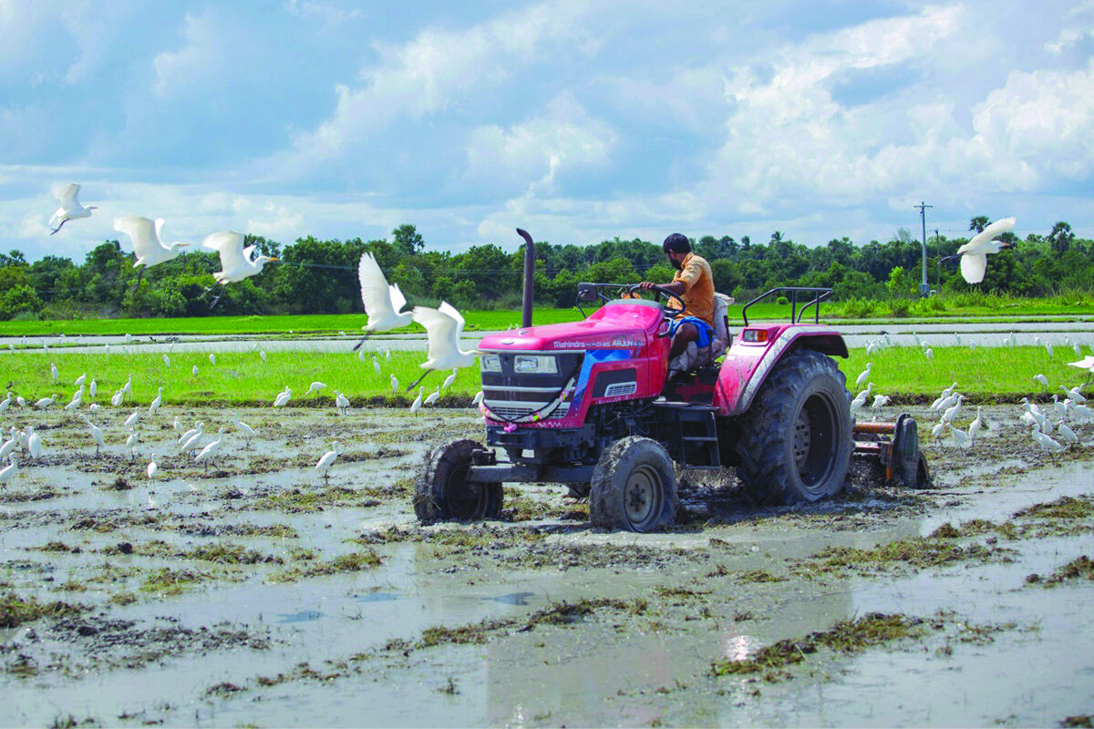 Farm sector’s mechanisation: ‘Govt allocated `6,400 cr since 2014-15’