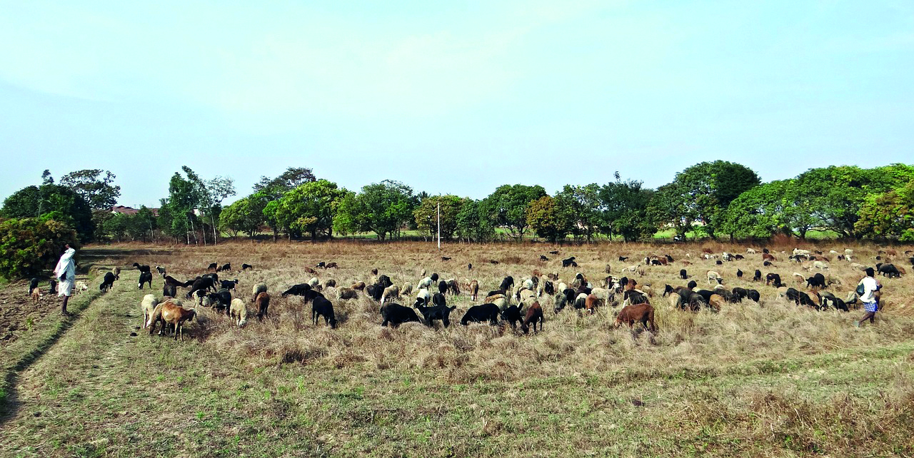 New waste management technology could improve life in rural India, says study