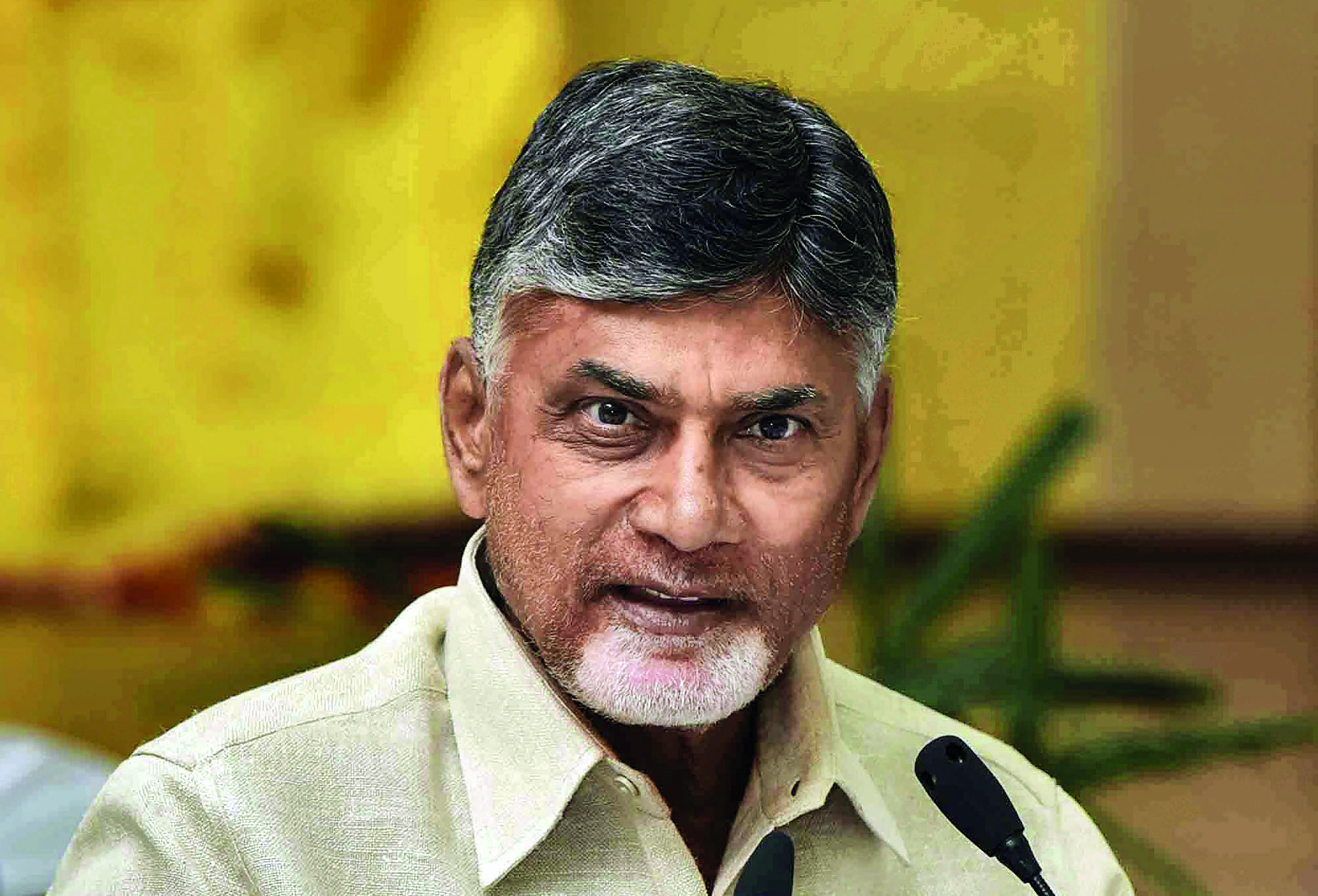 Cancel bail of TDP chief, his family intimidated officers: AP govt to SC Cancel bail of TDP chief, his family intimidated officers: AP govt to SC
