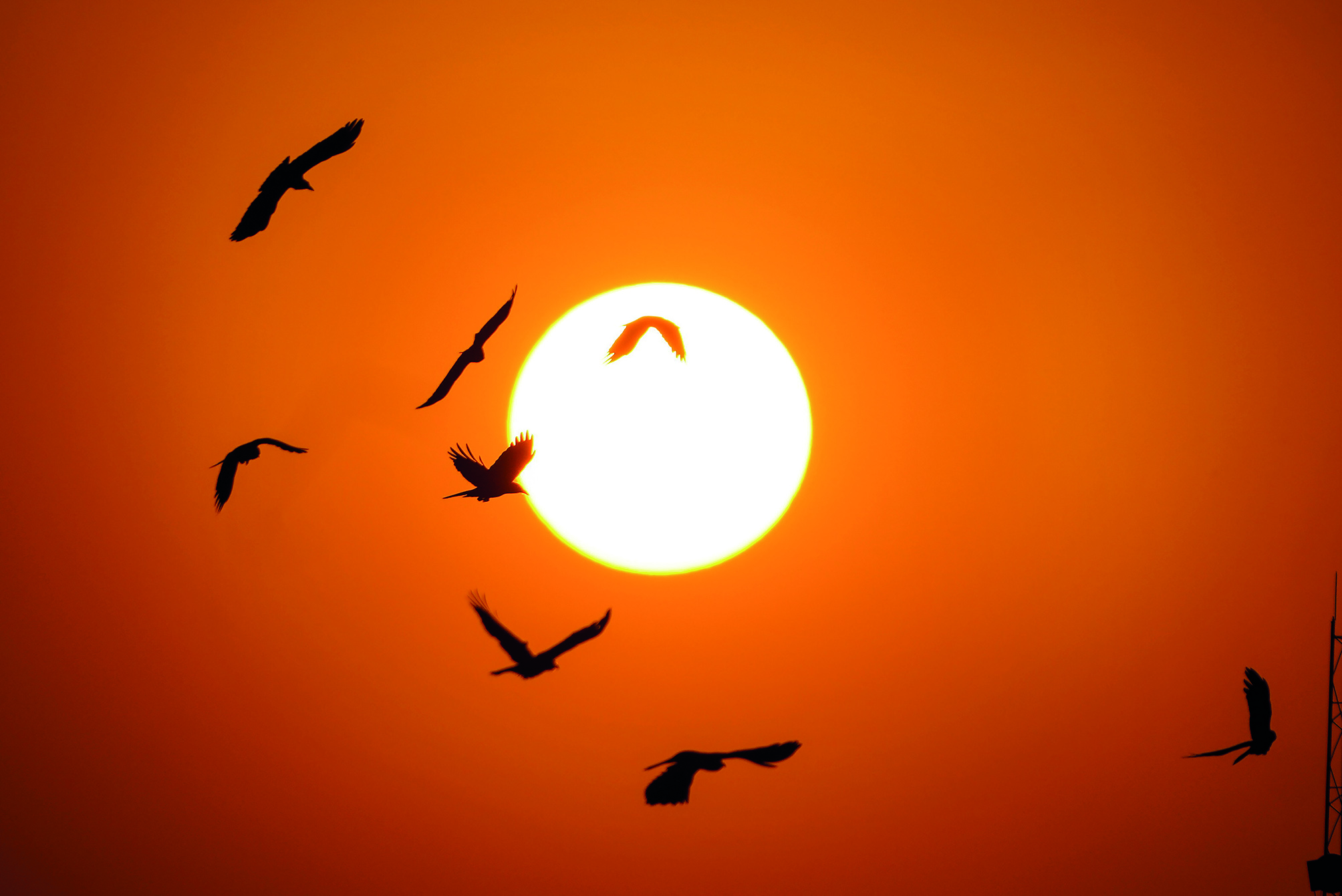 Delhi records best February air quality in 9 years Delhi records best February air quality in 9 years