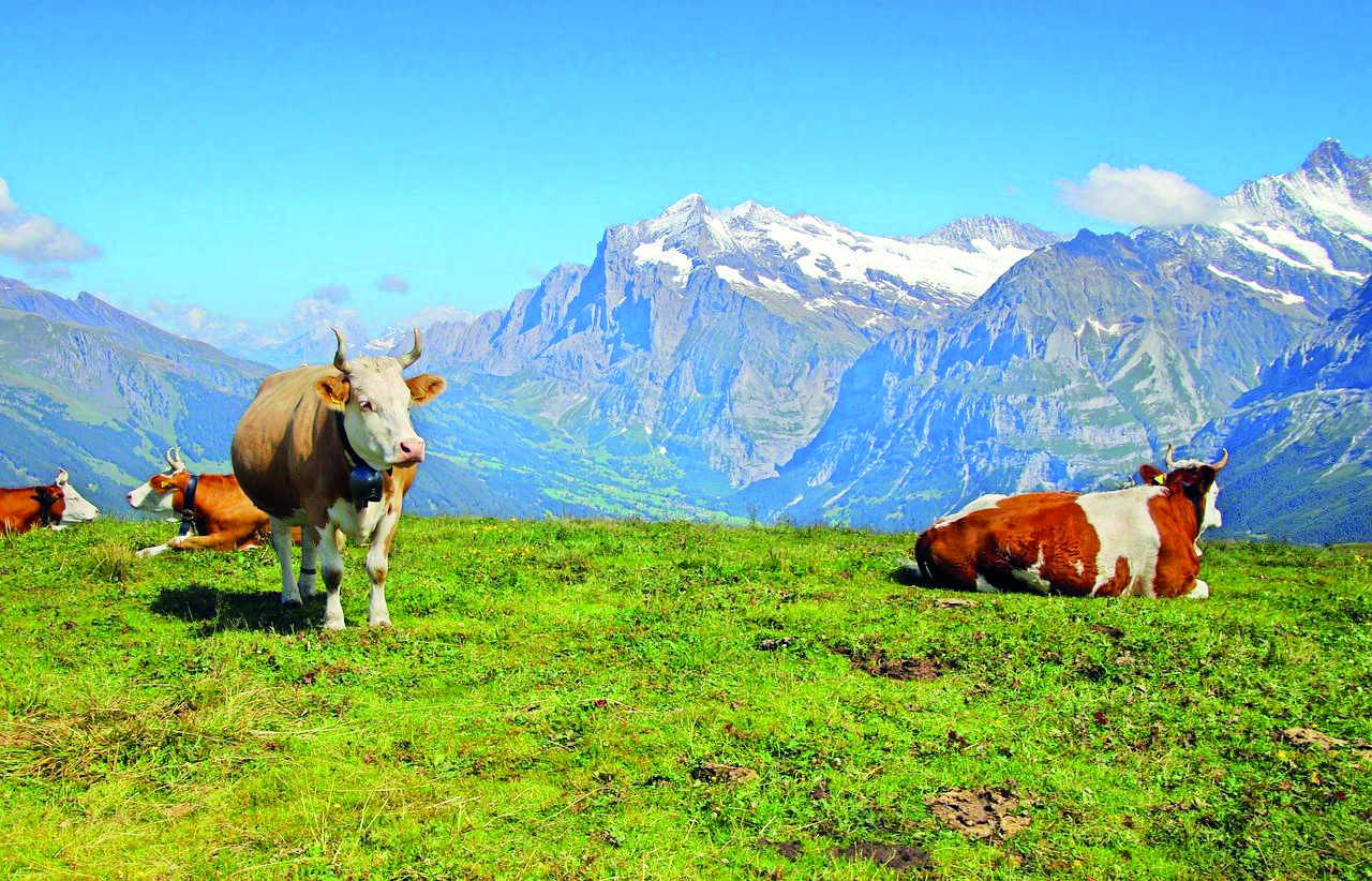 90% of Himalayas will face year-long drought at 3 degrees warming: Study