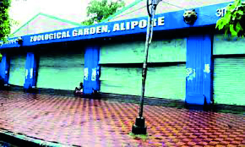 Alipore Zoo to introduce battery carts for visitors from March 1 Alipore Zoo to introduce battery carts for visitors from March 1