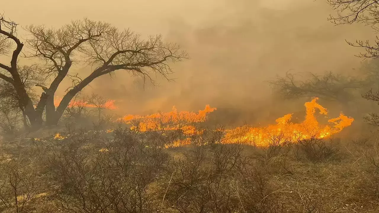 Largest wildfire in Texas history becomes personal for hardest-hit towns