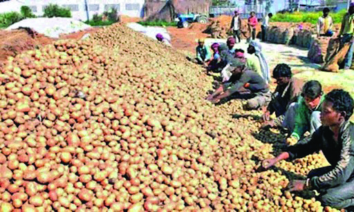 State proposes hike in rental charges for cold storages of potatoes State proposes hike in rental charges for cold storages of potatoes