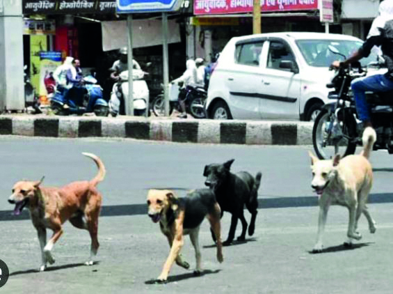 Delhi HC seeks authorities’ stand on plea for Rs 50L compensation