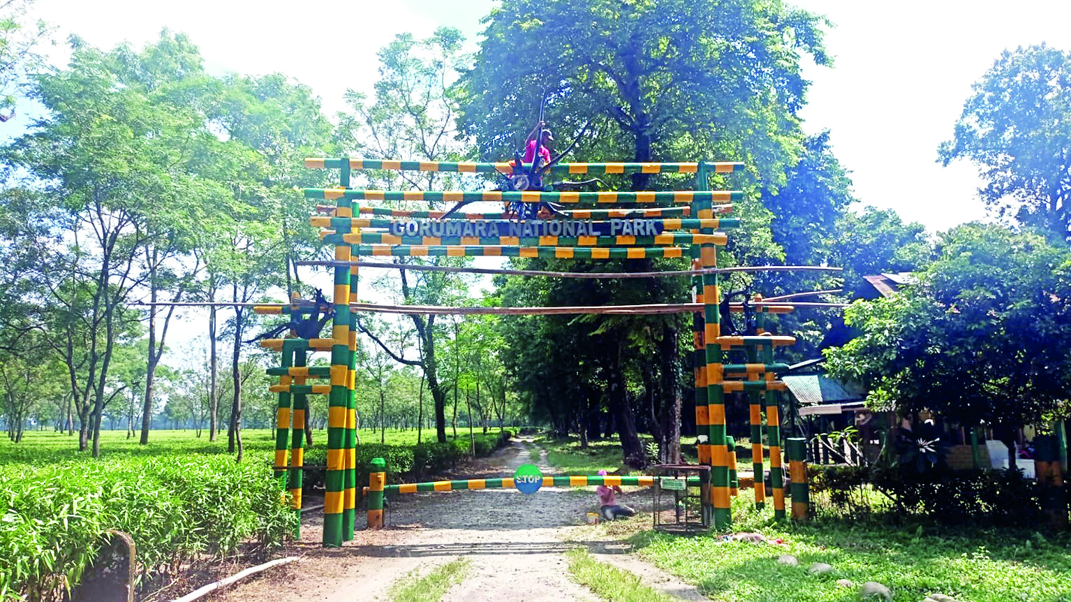 Jalpaiguri: Reserved forest areas to be closed for 2 days during Holi