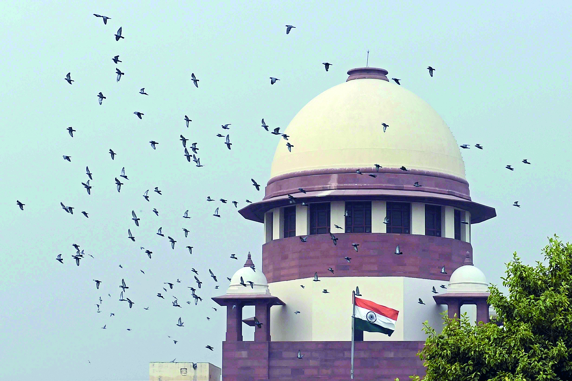 SC seeks Centre’s response for palliative care in National Health Program