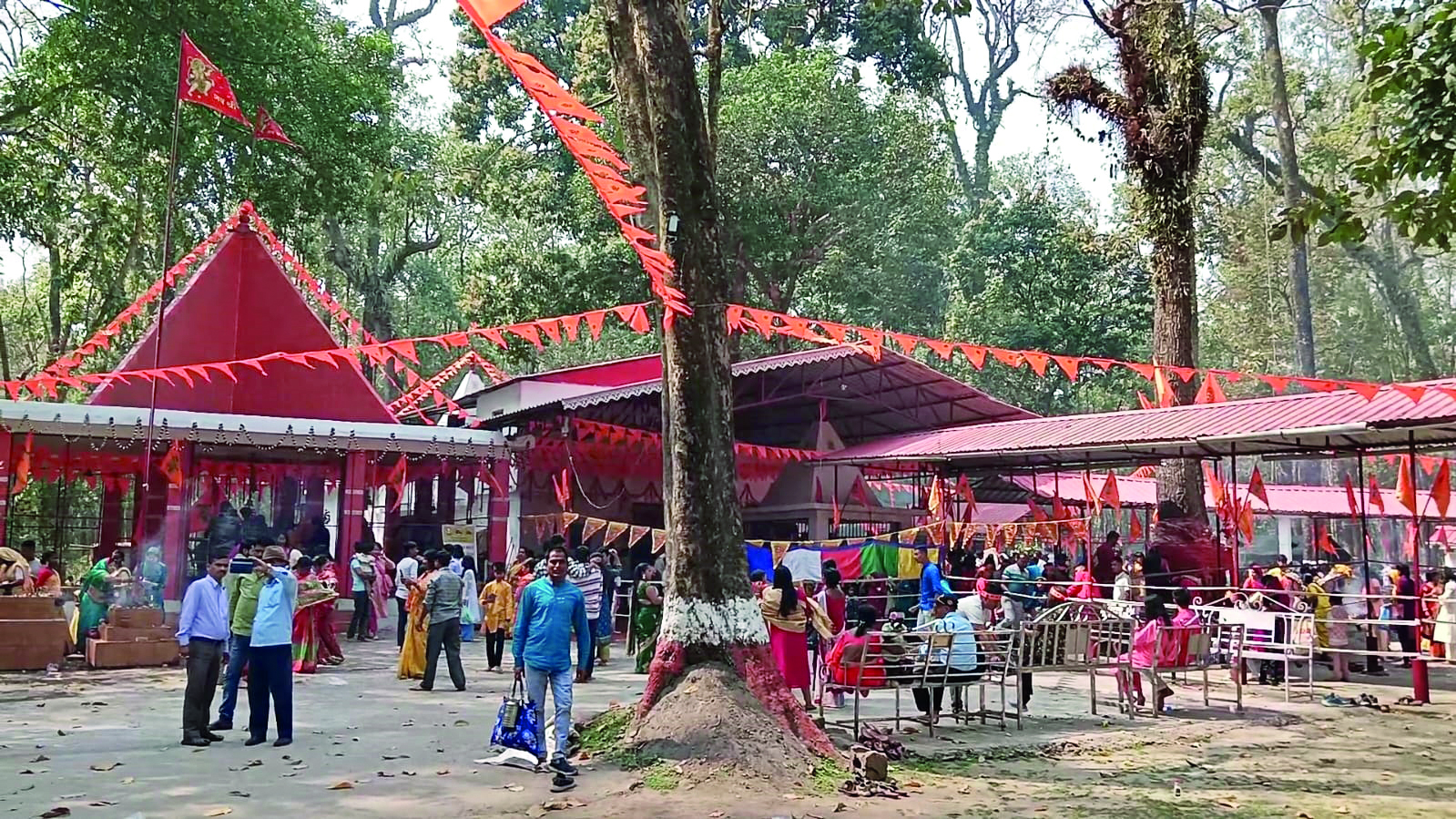 Shivratri: Forest dept takes special measures to manage devotees’ rush