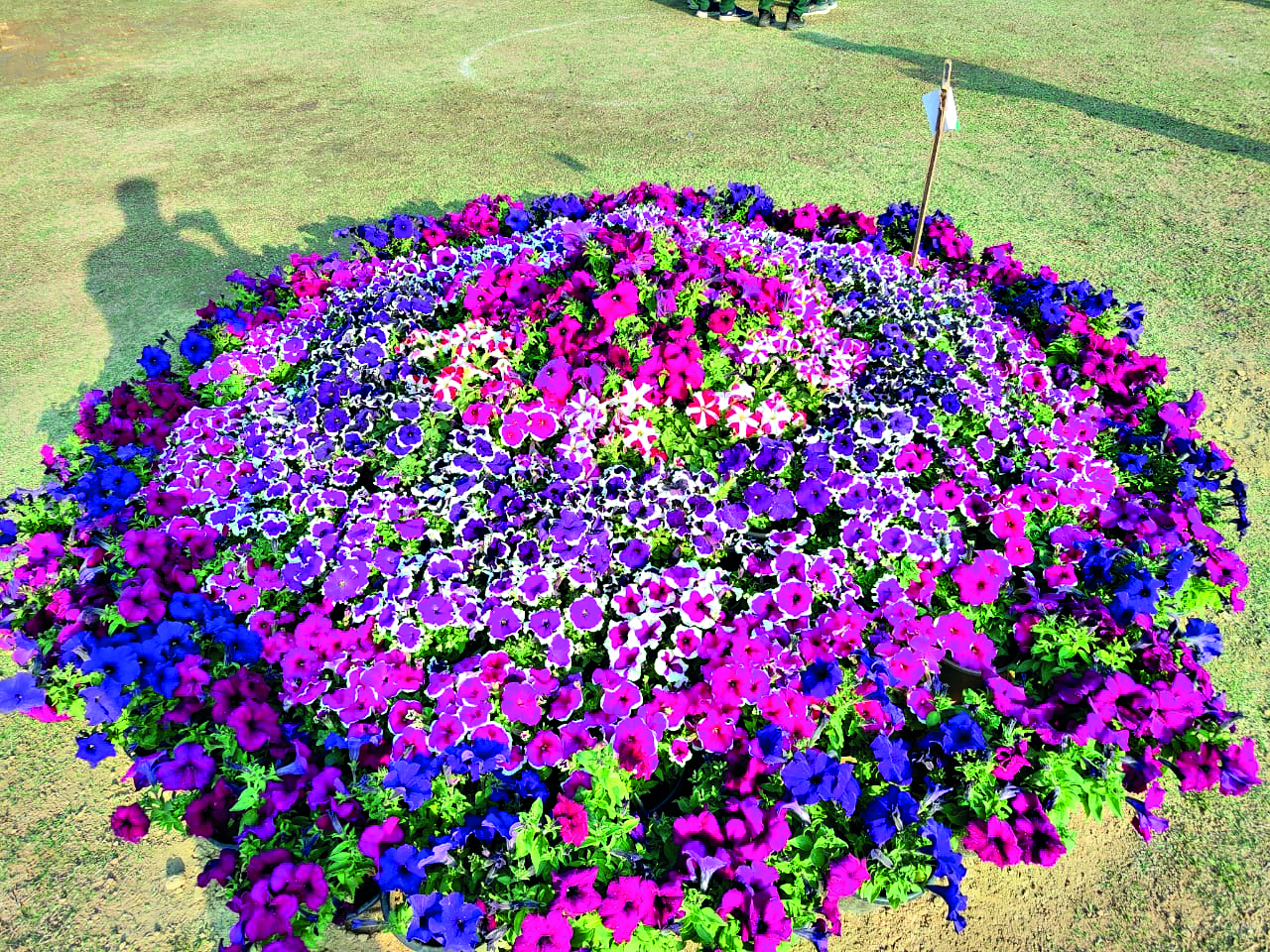 Greater Noida: Three-day ‘Pushpotsav 2024’ inaugurated in City Park Greater Noida: Three-day ‘Pushpotsav 2024’ inaugurated in City Park