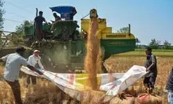 Talking Shop: Indian-Canadian Bhai-Bhai