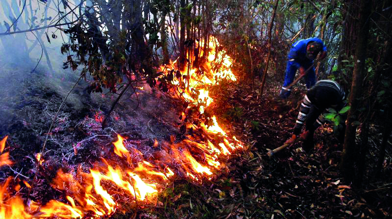NDRF deploys its First forest fire fighting teams NDRF deploys its First forest fire fighting teams