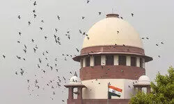 Cong leader moves Supreme Court seeking to restrain Centre from appointing new ECs Cong leader moves Supreme Court seeking to restrain Centre from appointing new ECs
