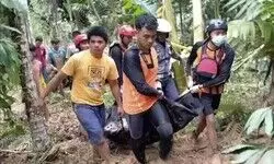 At least 26 dead and 11 missing after flash floods and landslides on Indonesias Sumatra island