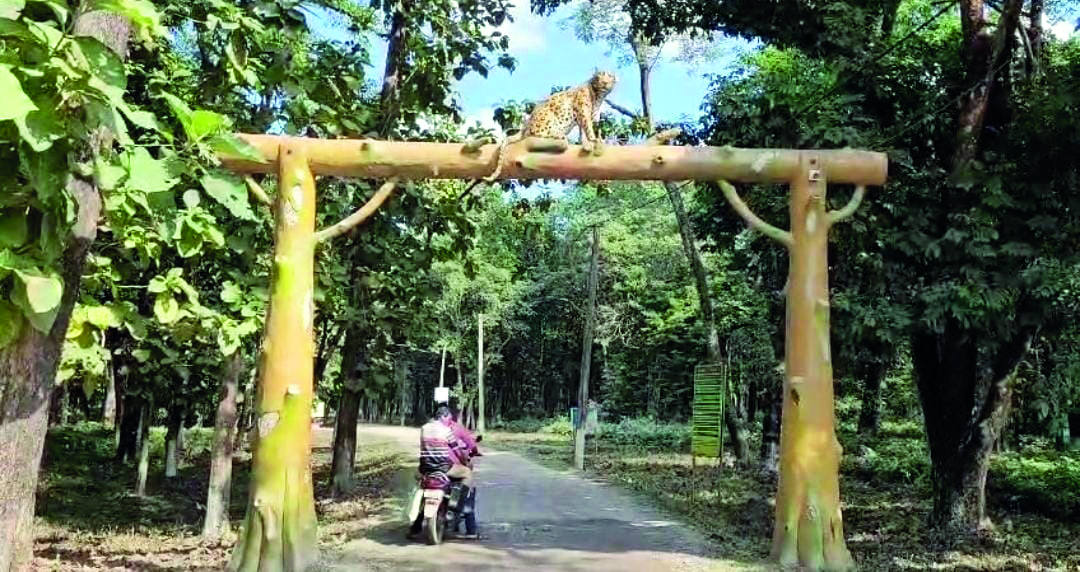 Rasikbil Mini Zoo set to transform with new avian residents & lush greenery Rasikbil Mini Zoo set to transform with new avian residents & lush greenery