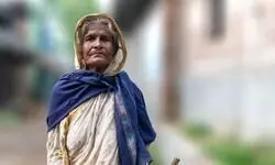 Ending the plight Ending the plight