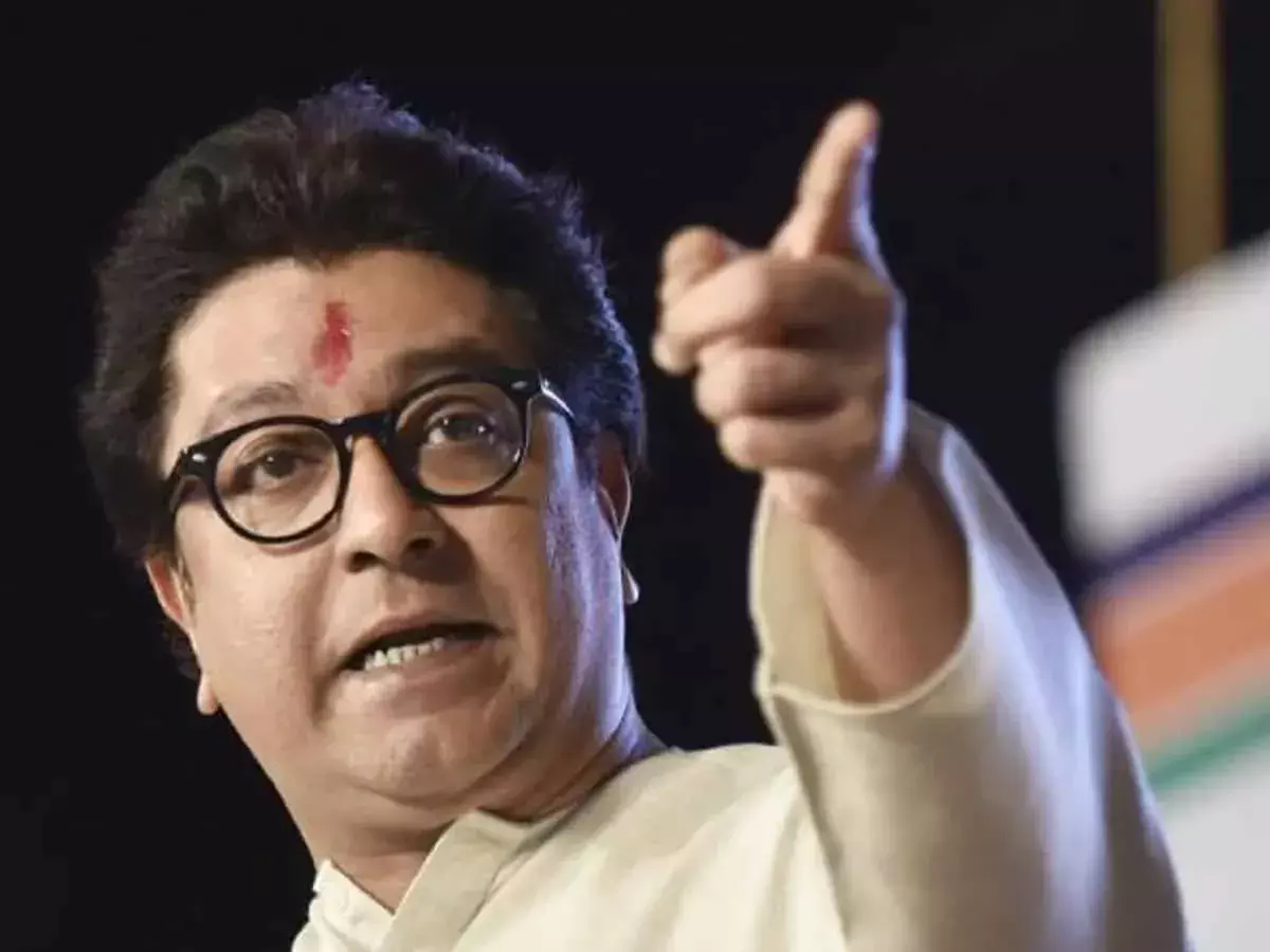 Raj Thackeray meets Amit Shah