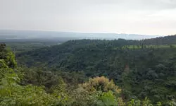 Recalibrating conservation