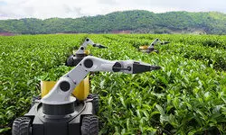 Harvesting the future of agriculture with AI Harvesting the future of agriculture with AI