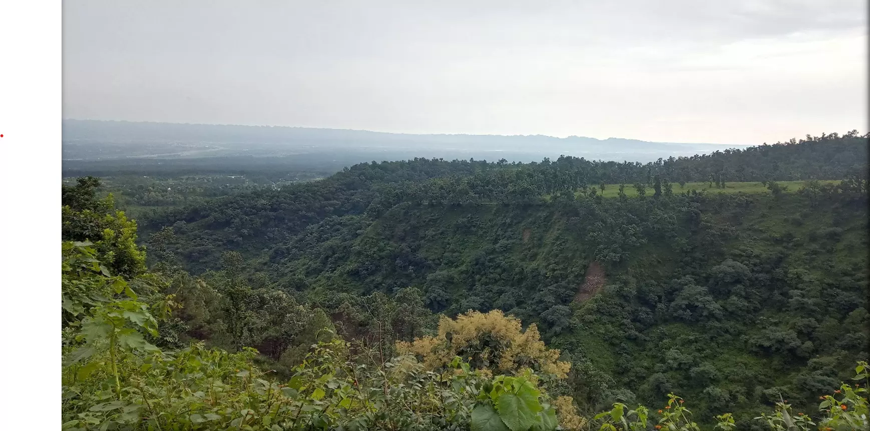 Recalibrating conservation Recalibrating conservation